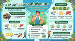 "ชาหินฟ้าแลบ" สมุนไพรตัวช่วยลดไขมันในเลือดที่คนรักสุขภาพต้องลอง หน้าปก ชาหินฟ้าแลบpng
